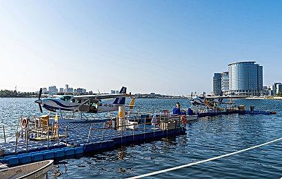 《艾尔登法环》黄金树之影DLC收藏版送超大手办